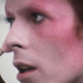 DAVID BOWIE HEROES NEVER DIE