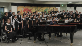Creating a Visible “Ode to Joy”: A Gift to Beethoven